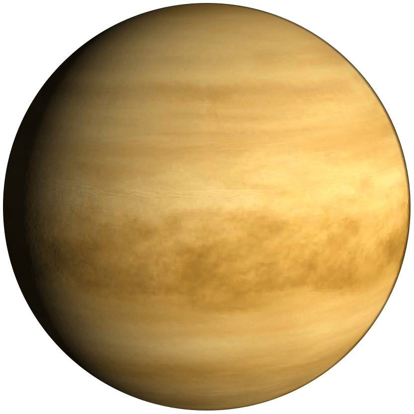 asset-20